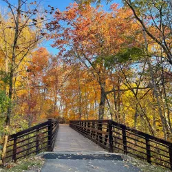 Beaver Creek Reservation - Alliance