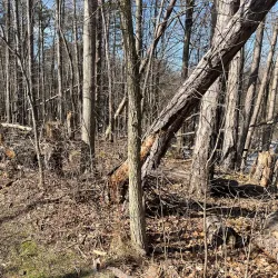 Beaver Creek Reservation - Alliance