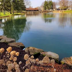 Firestone Park - Alliance