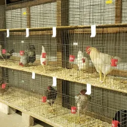 Ashland County Fairgrounds - Ashland