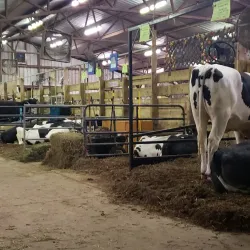 Ashland County Fairgrounds - Ashland