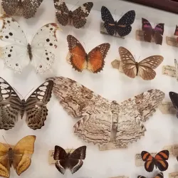 Ashland County Historical Society Museum - Ashland