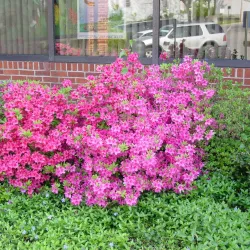 Ashland Public Library - Ashland