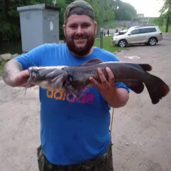 Charles Mill Lake - Ashland