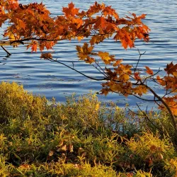 Clear Fork Reservoir - Ashland