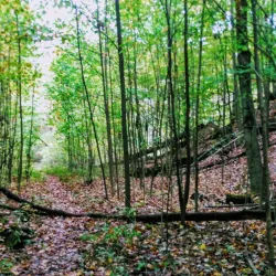 Clear Fork Reservoir - Ashland