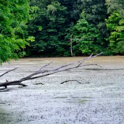 Clear Fork Reservoir - Ashland