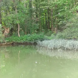Clear Fork Reservoir - Ashland