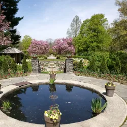 Kingwood Center Gardens - Ashland