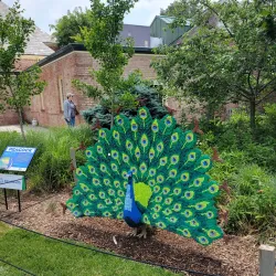 Kingwood Center Gardens - Ashland