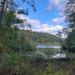 Strouds Run State Park - Athens