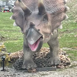 The Athens County Fairgrounds - Athens