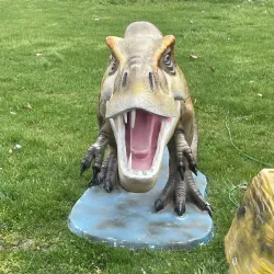 The Athens County Fairgrounds - Athens