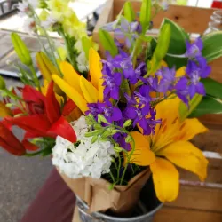 The Athens Farmers Market - Athens