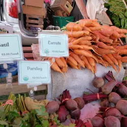 The Athens Farmers Market - Athens