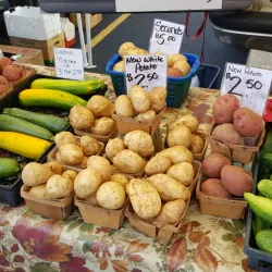 The Athens Farmers Market - Athens