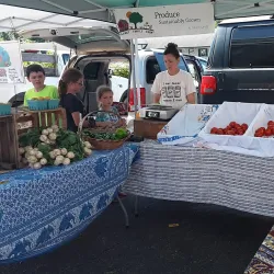 The Athens Farmers Market - Athens