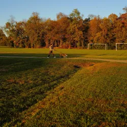 Batavia Township Park - Batavia