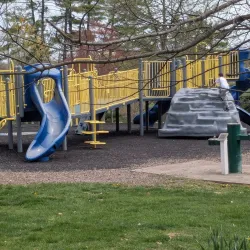 Cambridge City Park - Cambridge