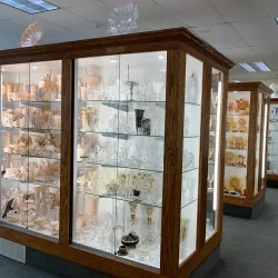 Cambridge Glass Museum - Cambridge