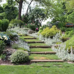 Roscoe Village - Cambridge