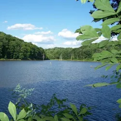 Salt Fork State Park - Cambridge