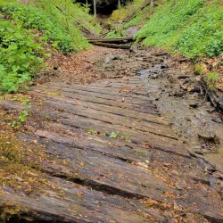 Salt Fork State Park - Cambridge