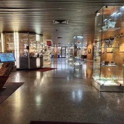 Canton Museum of Art - Canton