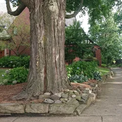 Downtown Canton Historic District - Canton
