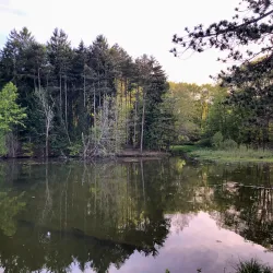 Nimisilla Park - Canton