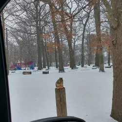 Nimisilla Park - Canton