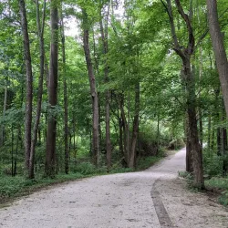 Sippo Lake Park - Canton