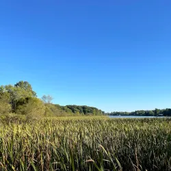 Sippo Lake Park - Canton