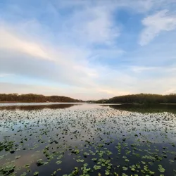 Sippo Lake Park - Canton