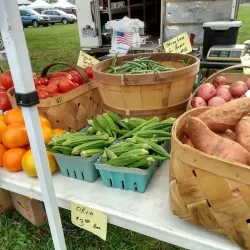 Celina Farmers Market - Celina