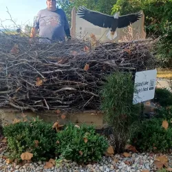 Grand Lake Museum - Celina