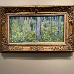 Cincinnati Art Museum - Cincinnati