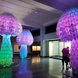 Cincinnati Art Museum - Cincinnati