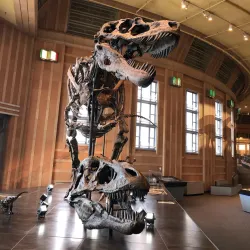 Cincinnati Museum Center at Union Terminal - Cincinnati