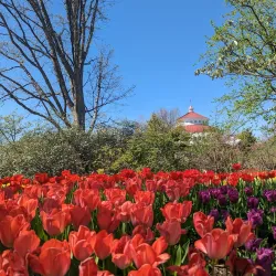 Cincinnati Zoo & Botanical Garden - Cincinnati