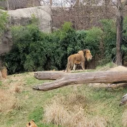 Cincinnati Zoo & Botanical Garden - Cincinnati