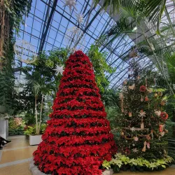 Krohn Conservatory - Cincinnati
