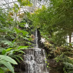 Krohn Conservatory - Cincinnati
