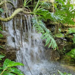 Krohn Conservatory - Cincinnati