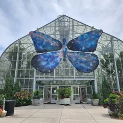 Krohn Conservatory - Cincinnati