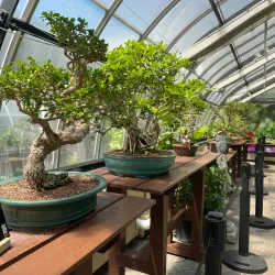 Krohn Conservatory - Cincinnati