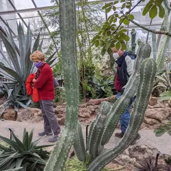 Krohn Conservatory - Cincinnati
