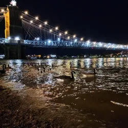 Smale Riverfront Park - Cincinnati