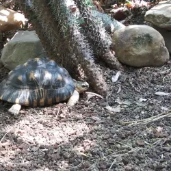 Cleveland Botanical Garden - Cleveland