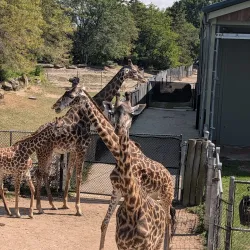 Cleveland Metroparks Zoo - Cleveland
